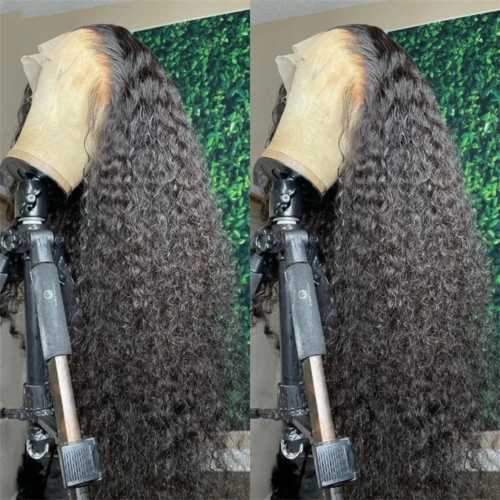 Water Curly 13x6 HD Transparent Lace Frontal Human Hair Wigs